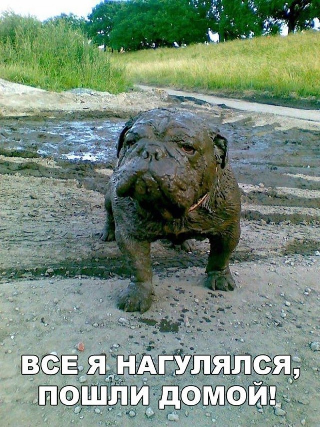 Баянисто-небаянистый юмор. 17.01.21