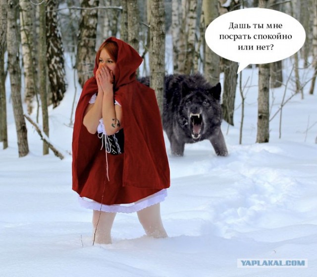 Фотожаба: "Заплутала"