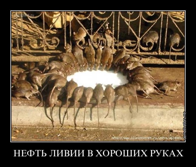Кто следующий...