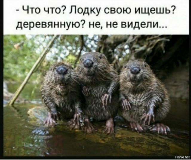 Весёлый полтишок 29.04