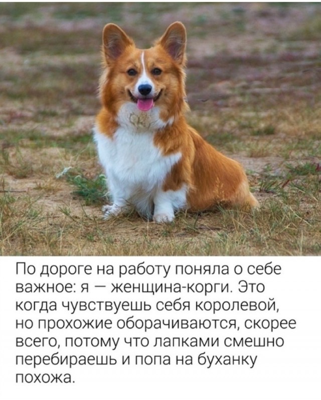 Прикольные и просто красивые картинки 13.07.2021