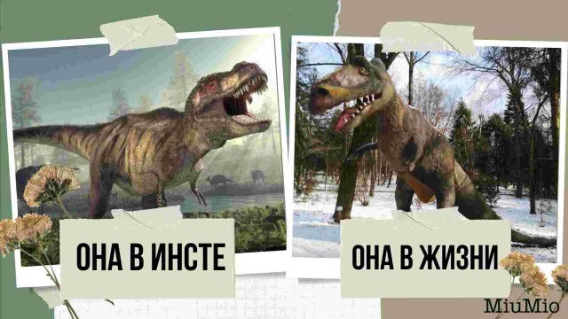 Мои умные и не очень мысли в картинках