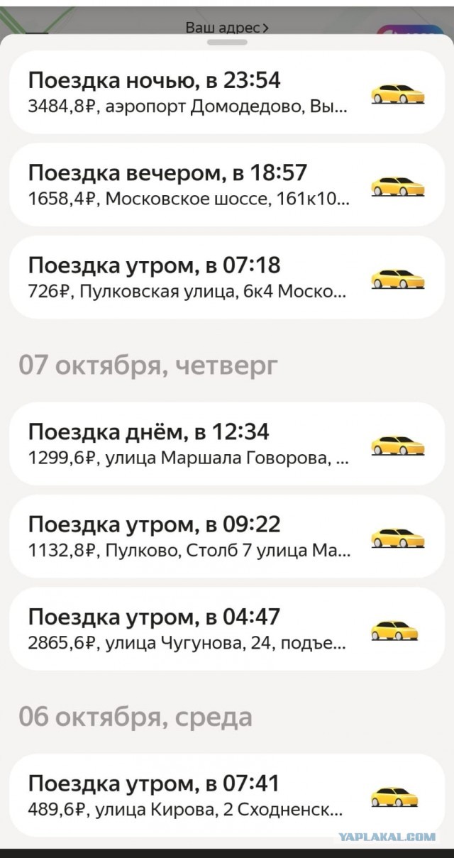 Попавшие под лошадь... Не хочется каламбурить