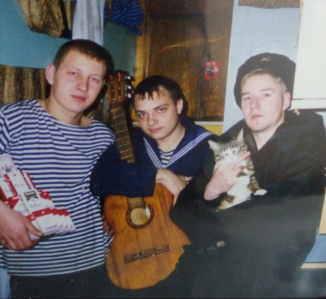 Война и Котики