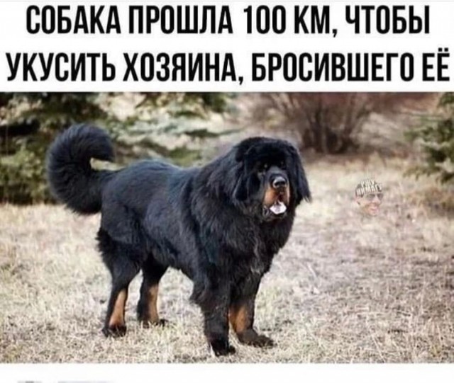 Так себе картинки 19.03.22