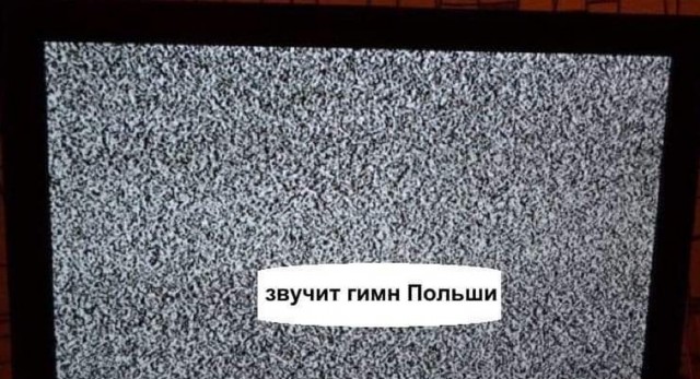 Уничтожены до 30 польских наёмников.