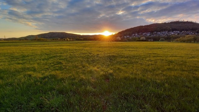 Полевая дорога. Северная Бавария