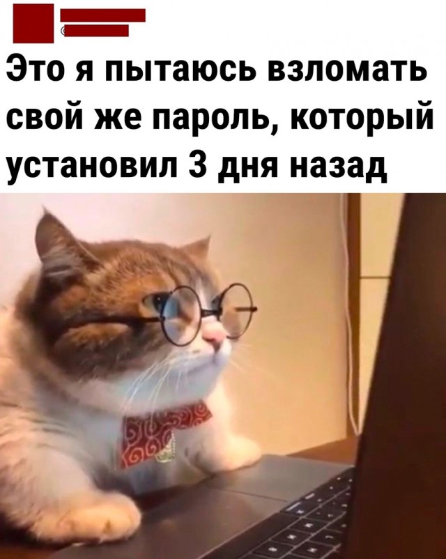 Так себе картинки 03.05.22