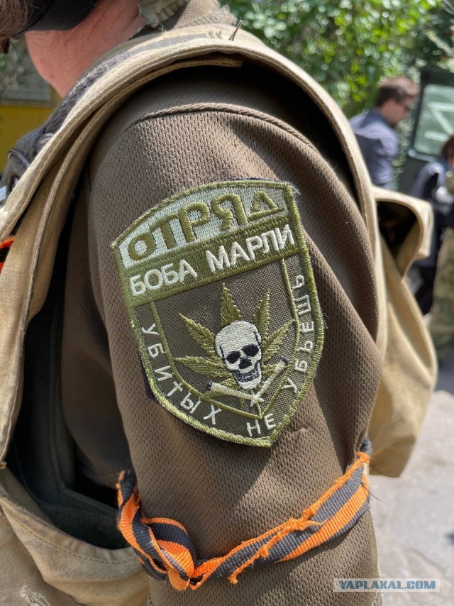 У владельца наркохолодильника на юге Петербурга нашли еще и плантацию