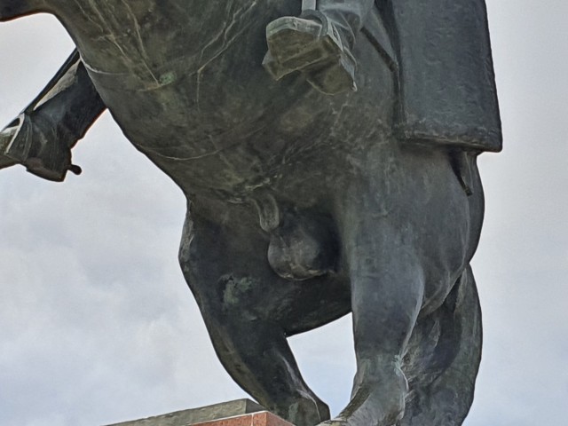 Элиста за один день
