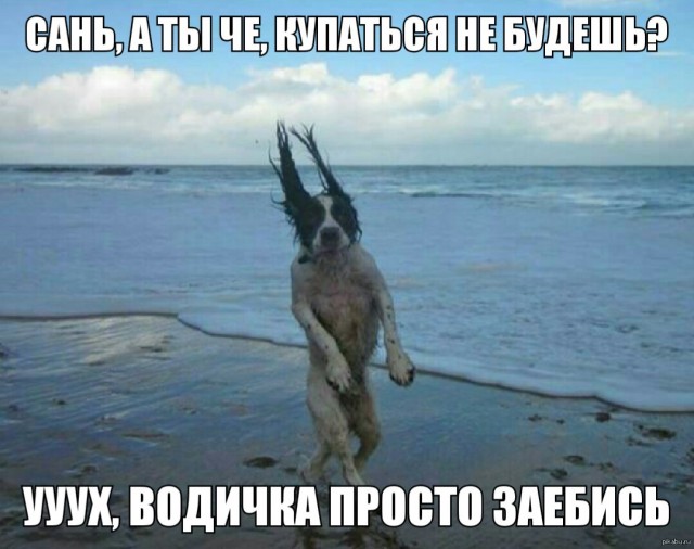 «Мантия волшебника»: экскурсия на самый крупный спутник в Солнечной системе!