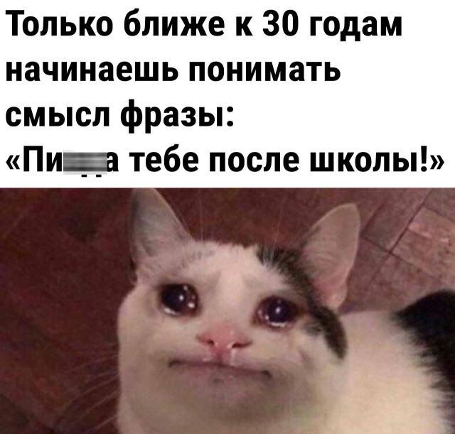 Так себе картинки 30.08.22