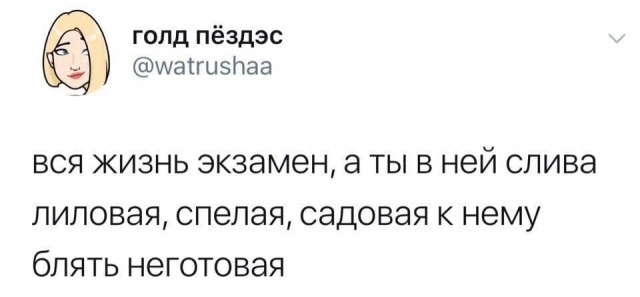 Немного картинок для настроения - 125