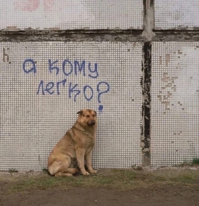 Калейдоскоп картинок