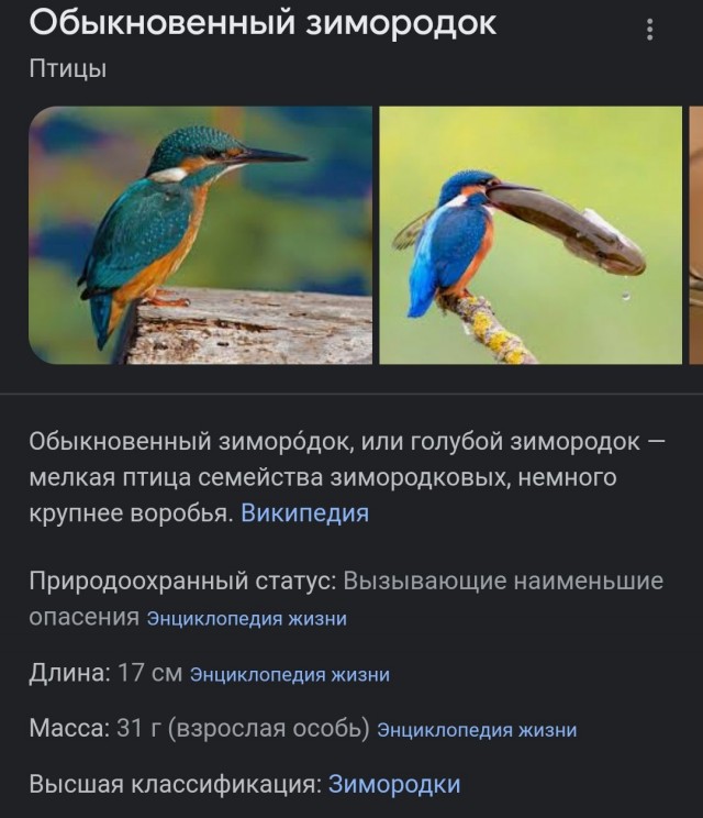 "Лети птичка, лети"