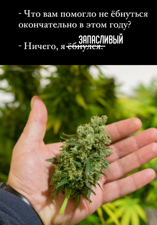 Народная меДИЧина 6007