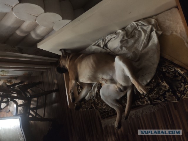 Ка Де Бо и Аусси