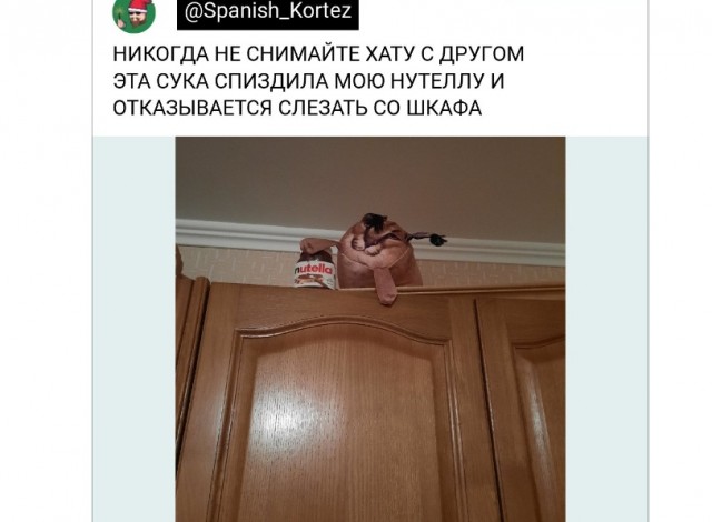 Картинки и мемы для настроения - 119