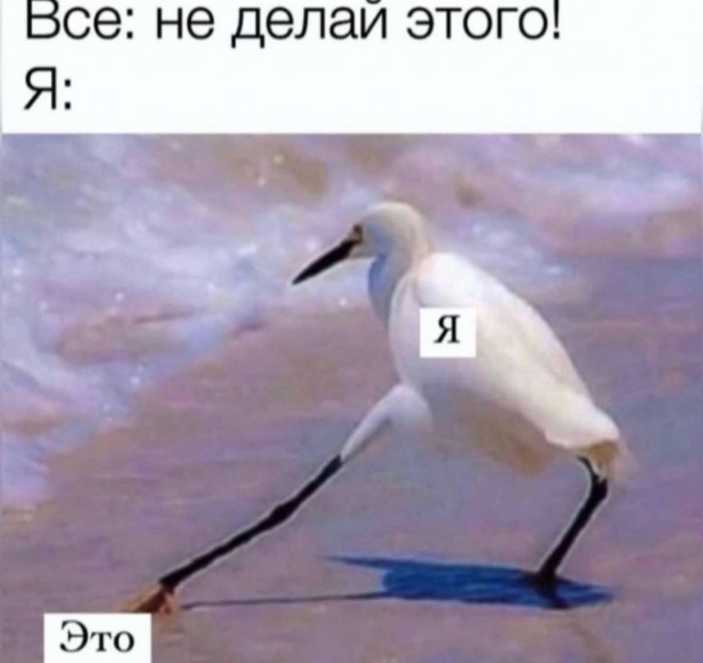 Всего понемногу. Часть 9