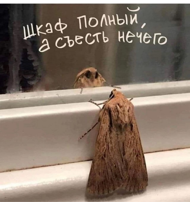 Так себе картинки 08.04.23