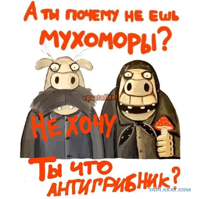 Победная поступь идиотизма по планете – том 12