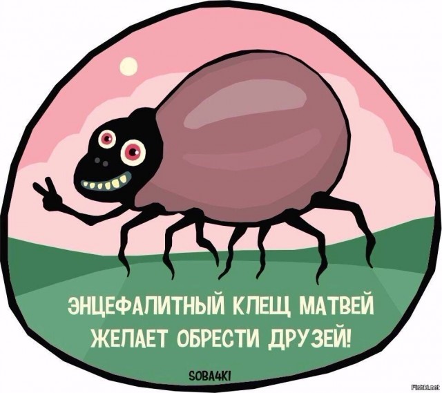 В осаде