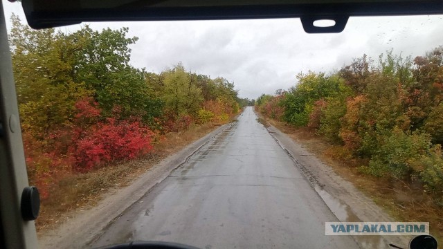 Краски осени