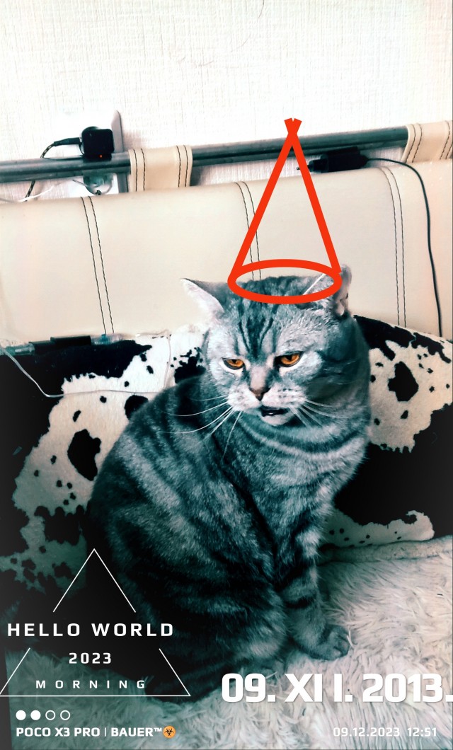 Юбилей кота 09.ХII.2013