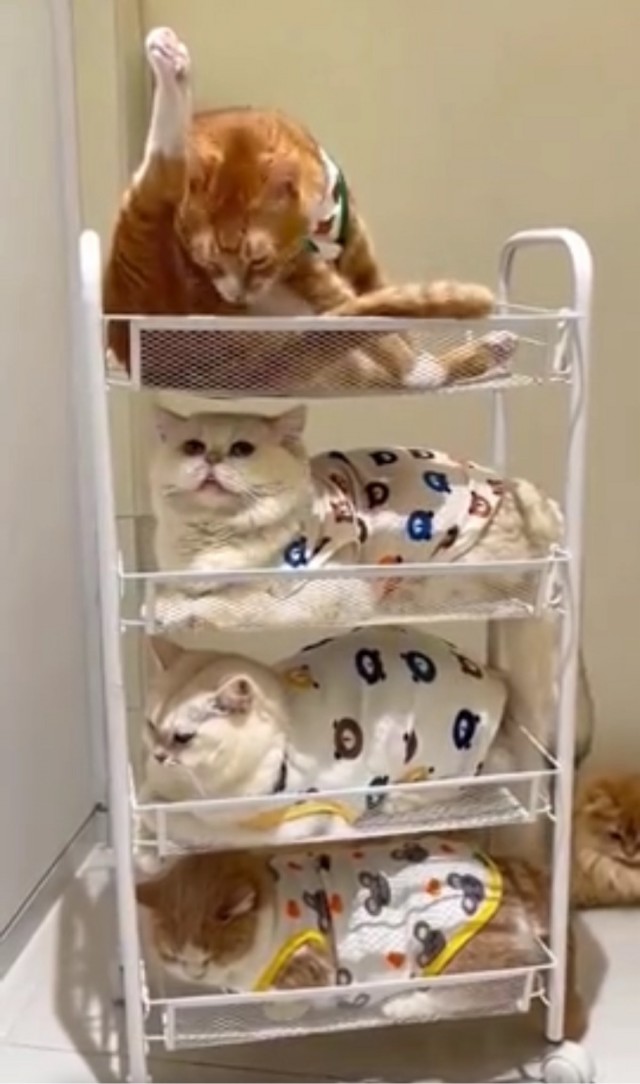 Типичный сосед сверху. Часть 2