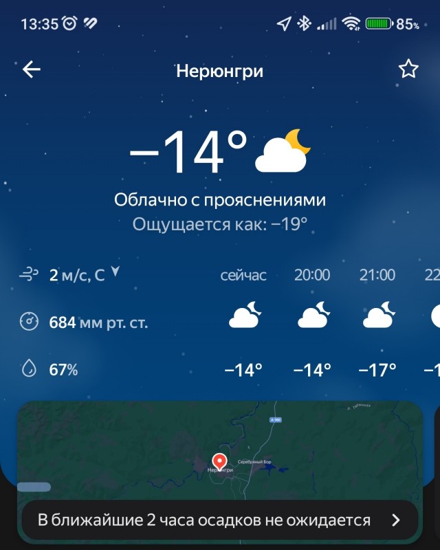 Патриоты голосуют