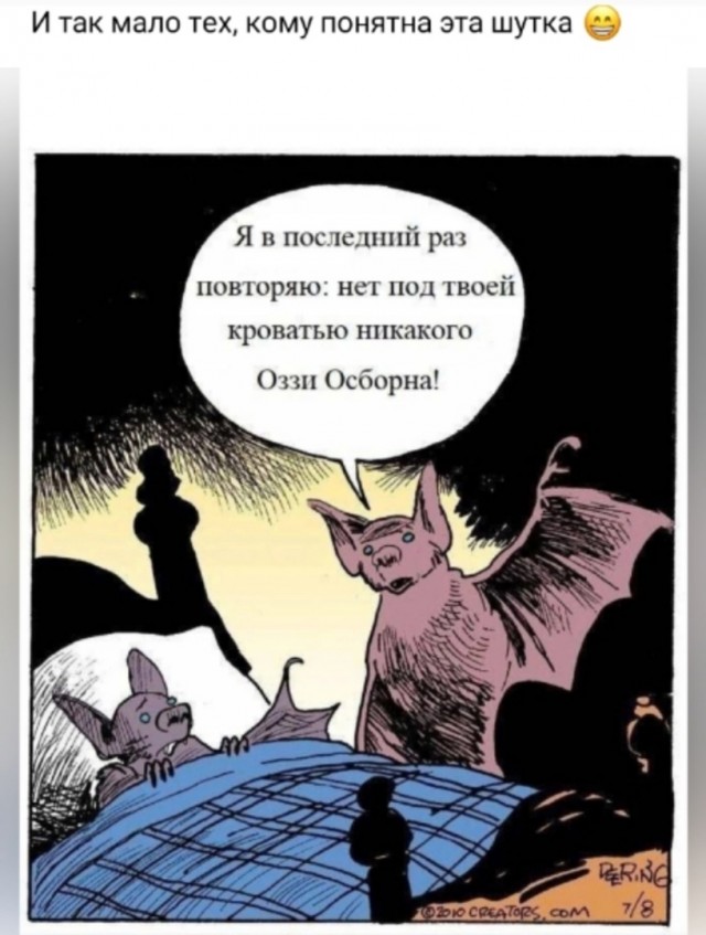 Так себе картинки 04.02.25