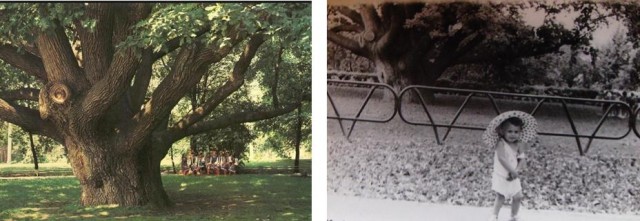 Мое случайное Запорожье