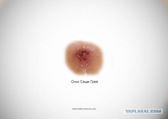 Знаменитые очки