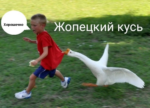 Решил поделиться моей коллекцией боянов (часть 2)