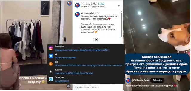 Пёс дождался хозяина-бойца СВО после долгой разлуки