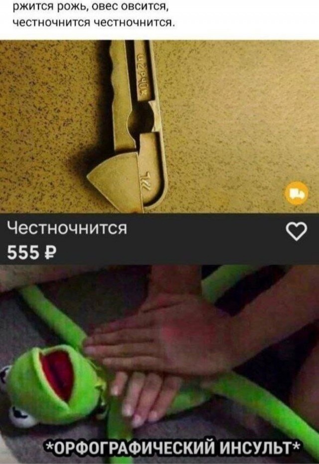 Весёлый полтишок 22.08.25