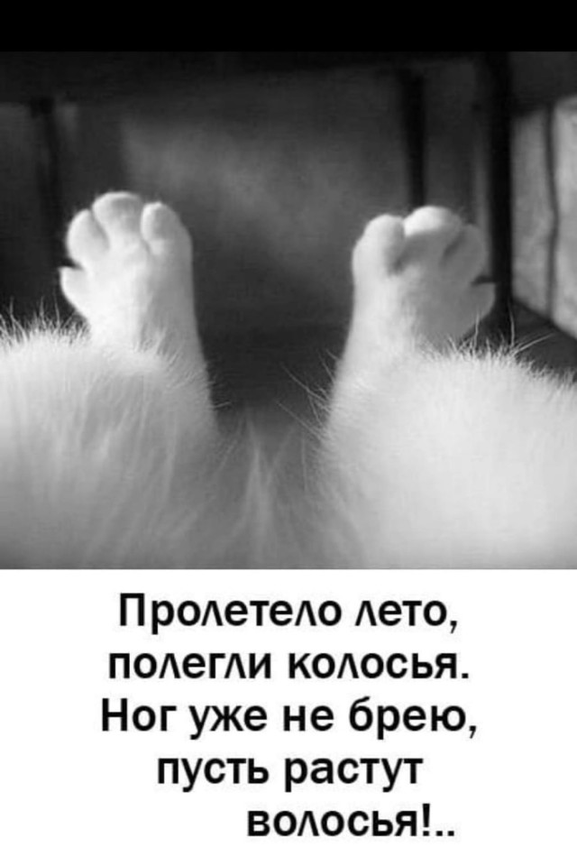 Так себе картинки 07.09.25