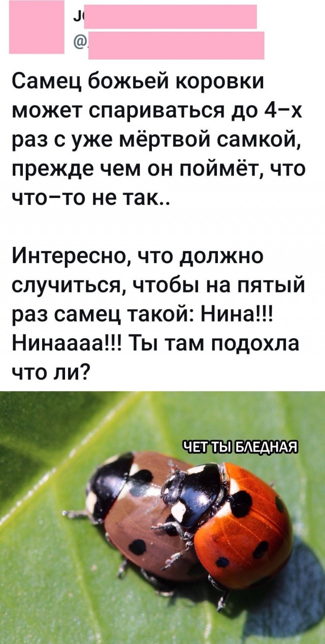 Так себе картинки 08.09.25