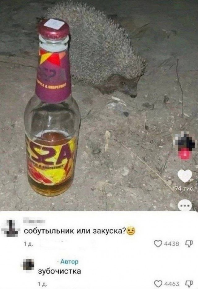 Картинки для деградации 60 (разной степени свежести)