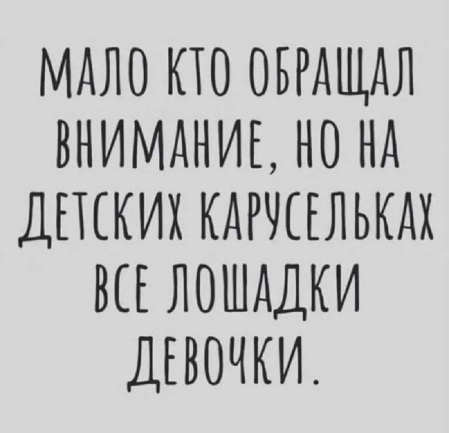 Так себе картинки 19.11.25