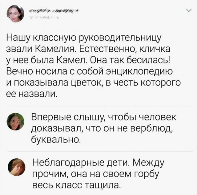 Картиночки, баянчики 11 декабря