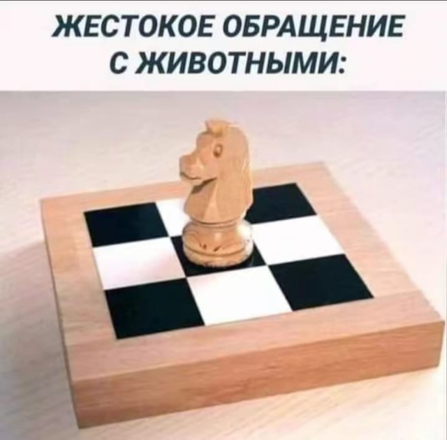 У бабушки даже стройный рысь в манула превратится