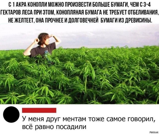 Картинки на кануне Рождества.