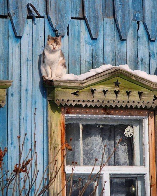 Прикольные и просто красивые картинки 06.02.2026