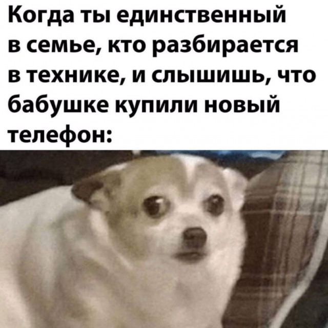 Картиночки, баянчики 11 мая