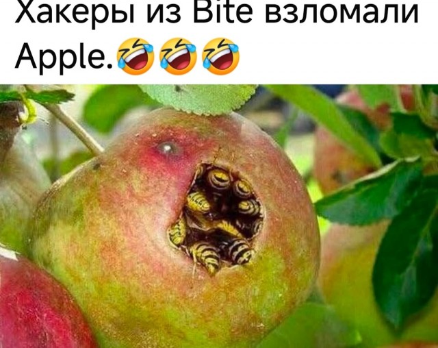 Маленькая пятница