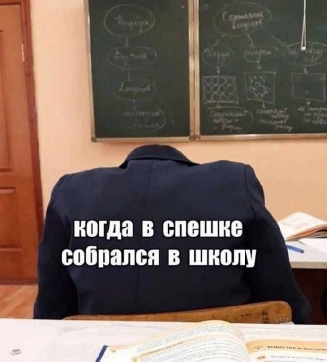 Картинки для деградации 273 (разной степени свежести)