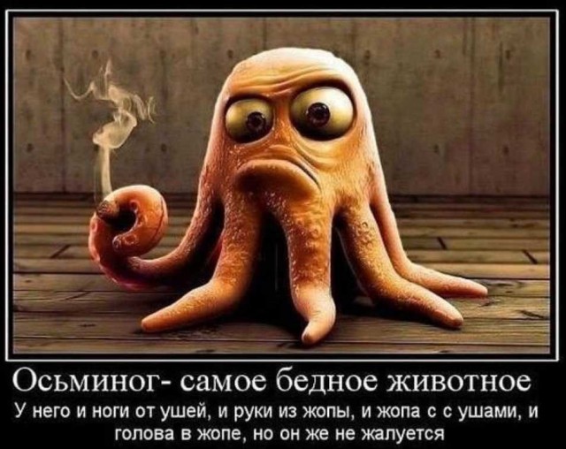 В Набережных Челнах начали проводить йогу для людей без позвоночника