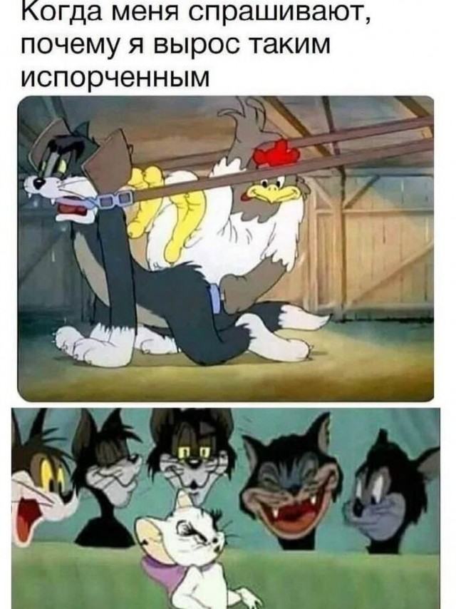 Забавные и не очень скромные картинки-40