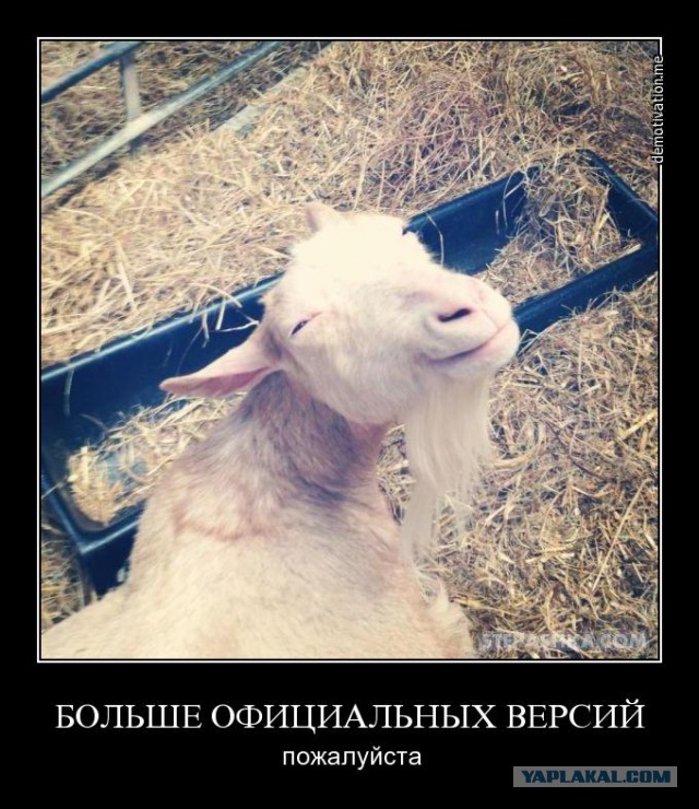 БУК, боевое дежурство. День до трагедии